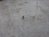 ruuvi 20150801_141030 (800x600).jpg