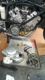 tmp_26489-IMAG1845-2059252633.jpg tmp_26489-IMAG1845-2059252633.jpg