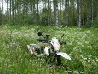 sano se kukkasin.jpg