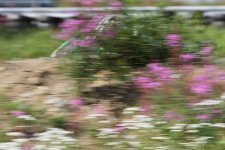 7IMG7085.jpg 7IMG7085.jpg