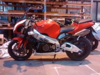 12776793_489034874554770_113655443_o.jpg 12776793_489034874554770_113655443_o.jpg