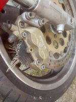 13502858_526547404136850_6870889808998524484_o.jpg 13502858_526547404136850_6870889808998524484_o.jpg