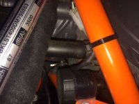 IMG_5592.JPG IMG_5592.JPG