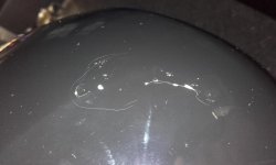 20160408_185038.jpg 20160408_185038.jpg