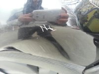 32320_578620922163045_1311714482_n.jpg 32320_578620922163045_1311714482_n.jpg