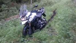 Voitto seisoo II.jpg