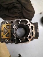 suzuki pytty foorumeille .jpg