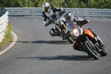 IMG_9042 (Large).jpg