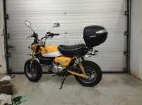 monkey1.jpg monkey1.jpg