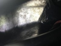 8C233D9C-8357-4222-B0FE-BDC55C1D96AF.jpg 8C233D9C-8357-4222-B0FE-BDC55C1D96AF.jpg