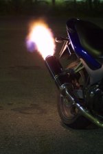 kawapaukkuu.jpg kawapaukkuu.jpg