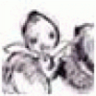 icessefug