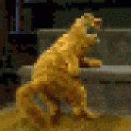 immilkrog