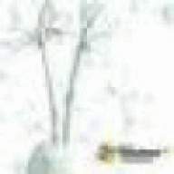 lnaillotqw