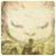 IgnonsAssex