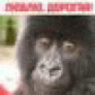 tnzmogslbu