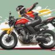 ratasammakko