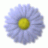 jorgotpap